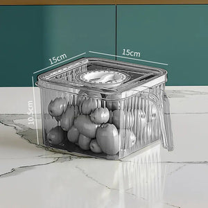 Kitchen Storage Containers with Time Recorder Lid Fridge Organizers
